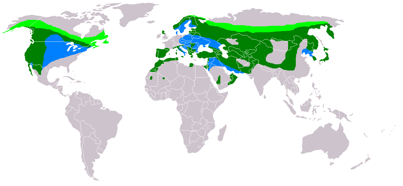 Distribución mundial