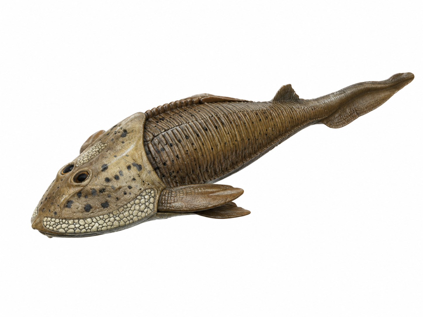 Cephalaspis