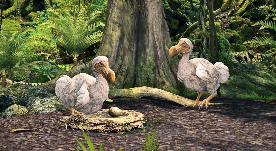 Reconstrucción del nido y huevo del dodo