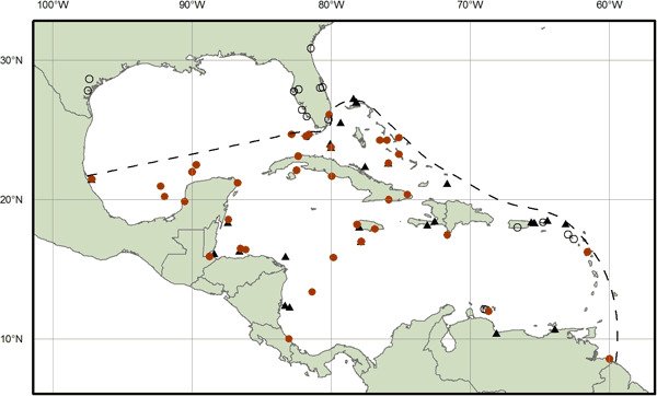 Mapa de distribución histórica en el mar Caribe