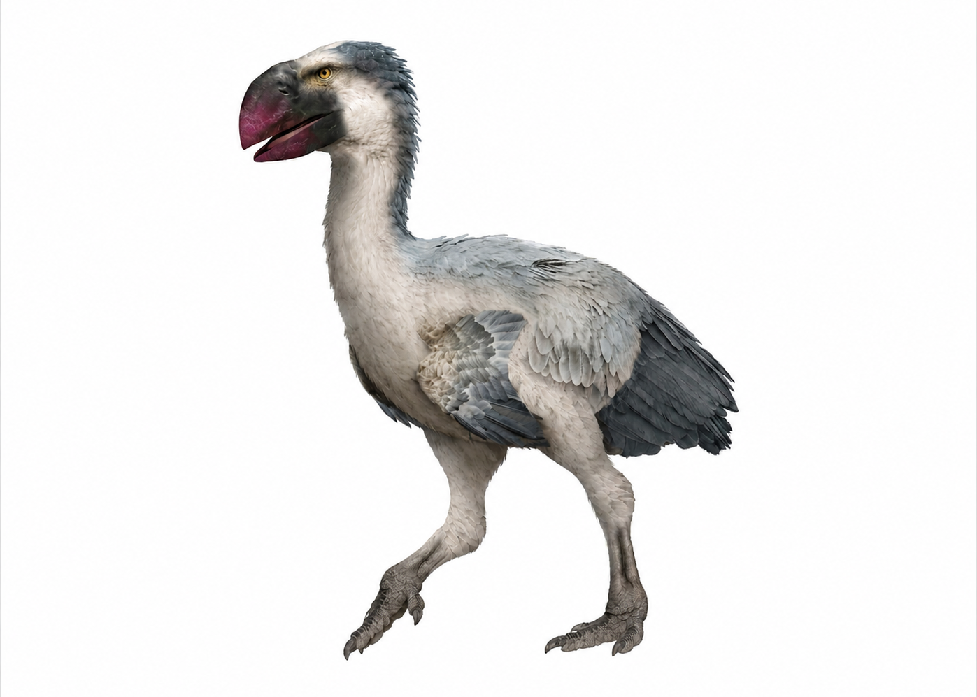 Gastornis