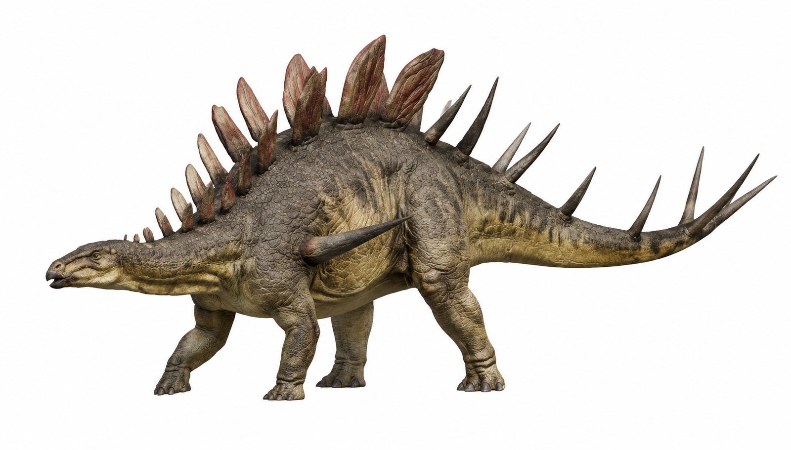 Kentrosaurus