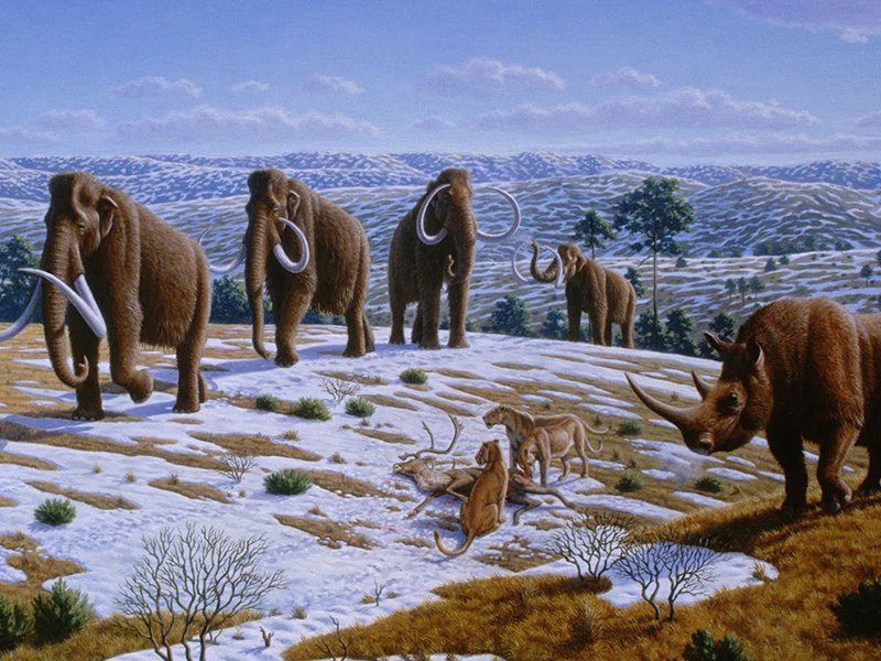 Manada de mamuts lanudos en la tundra