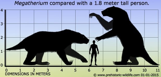 Comparativa de tamaño con un humano