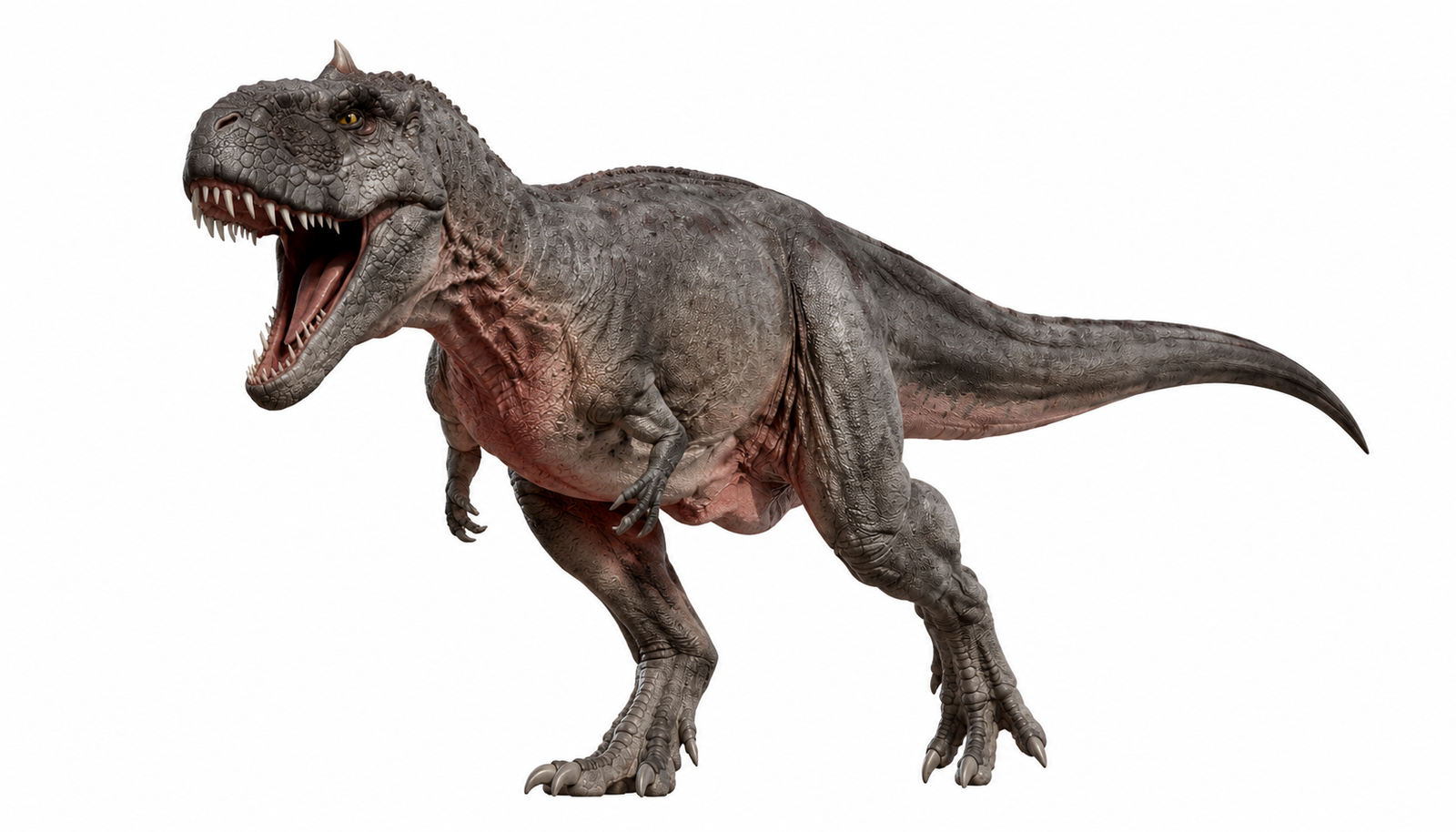 Rajasaurus