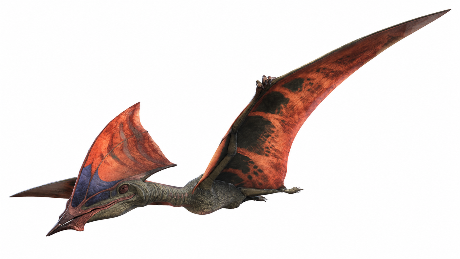 Tapejara