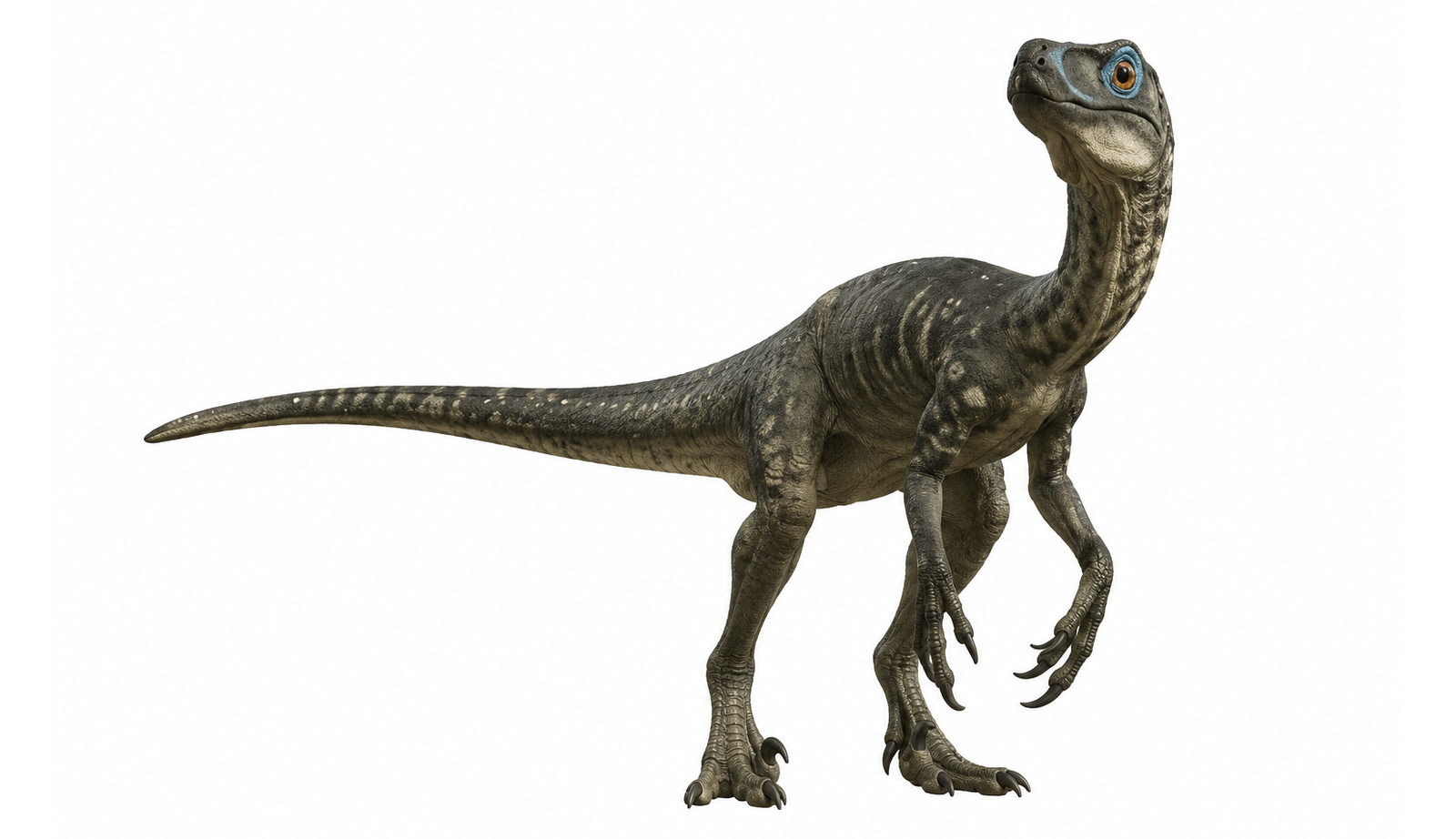 Troodon